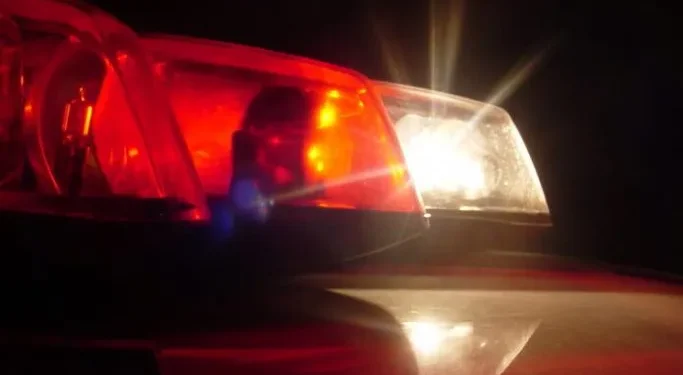  Drogas e arma de fogo são apreendidas em ação da Polícia Militar