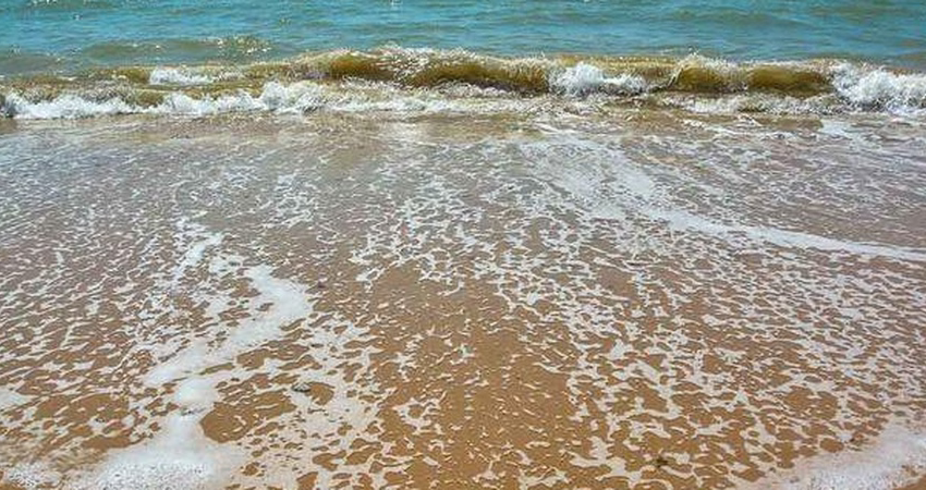  Três trechos do litoral da Paraíba são considerados impróprios para banho no início de 2025