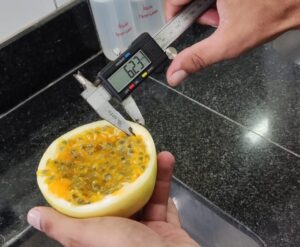  Governo do Estado incentiva cultivo de maracujá amarelo no sertão com financiamento de pesquisa