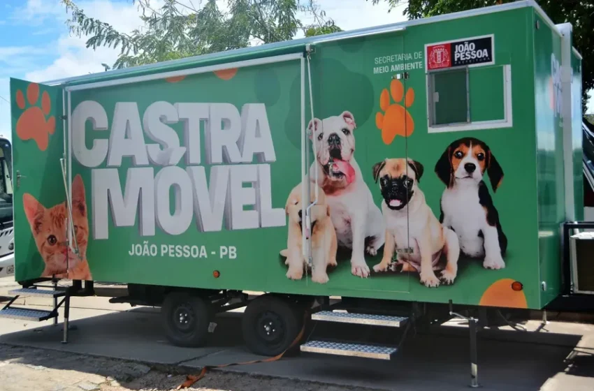 João Pessoa oferece castração gratuita para animais