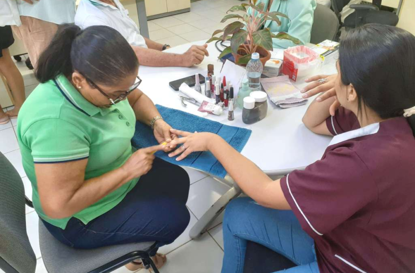  Semana da Agricultura Familiar marca os 10 anos da Cecaf com programação especial nesta quinta-feira (25) e sábado (26)